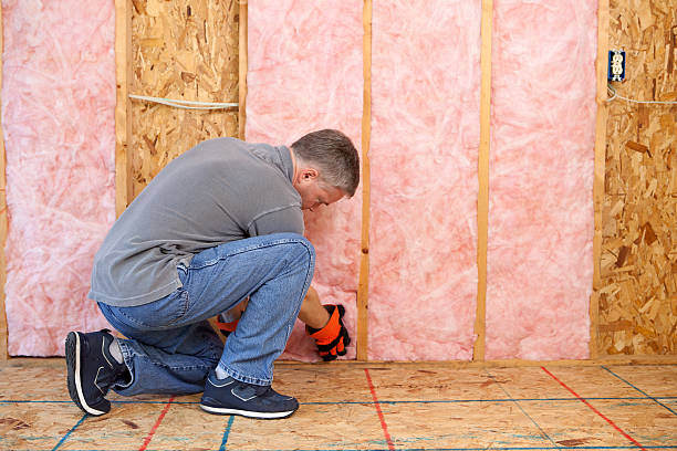 Best Eco-Friendly Insulation in Effort, PA