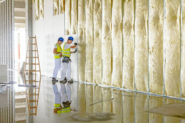 Best Blown-in Insulation in Effort, PA